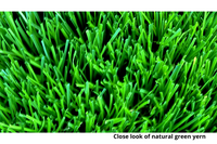 Natural Green Artificial grass: 40mm High density