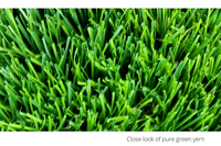 Premium Pure Green Artificial grass: 40mm High density