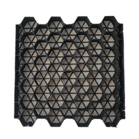 Grass pavers Black 150 SQM