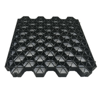 Grass pavers Black 150 SQM