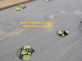 WEED MAT
